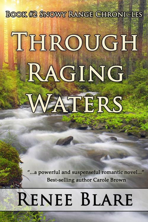 Cover of the book Through Raging Waters by Renee Blare, Prism Book Group