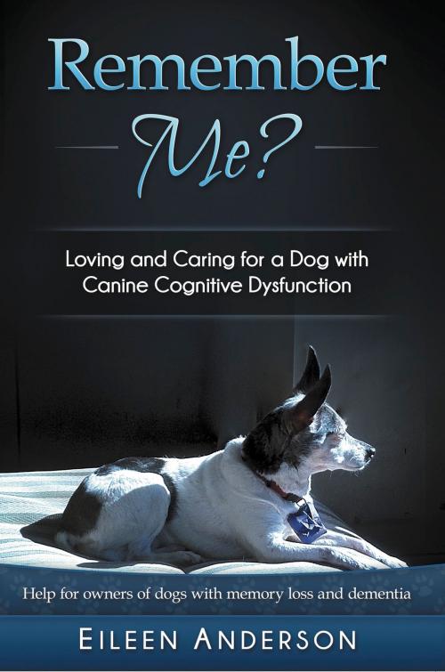 Cover of the book Remember Me? by Eileen Anderson, Dogwise Publishing