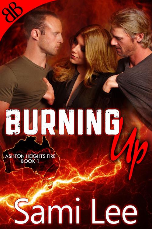 Cover of the book Burning Up by Sami Lee, Book Boutiques