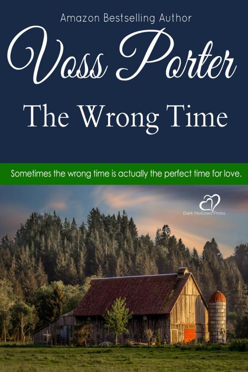 Cover of the book The Wrong Time by Voss Porter, Painted Hearts Publishing