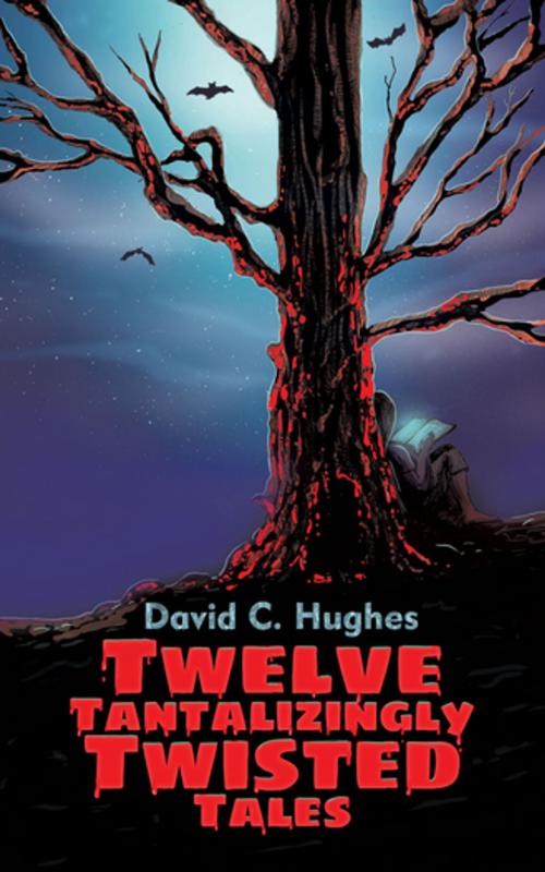 Cover of the book Twelve Tantalizingly Twisted Tales by David C. Hughes, Progressive Rising Phoenix Press, LLC