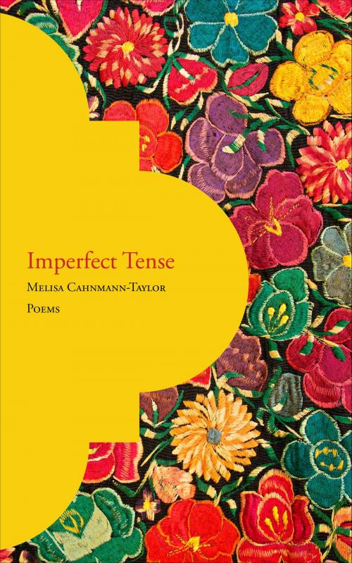 Cover of the book Imperfect Tense by Melisa Cahnmann-Taylor, Whitepoint Press