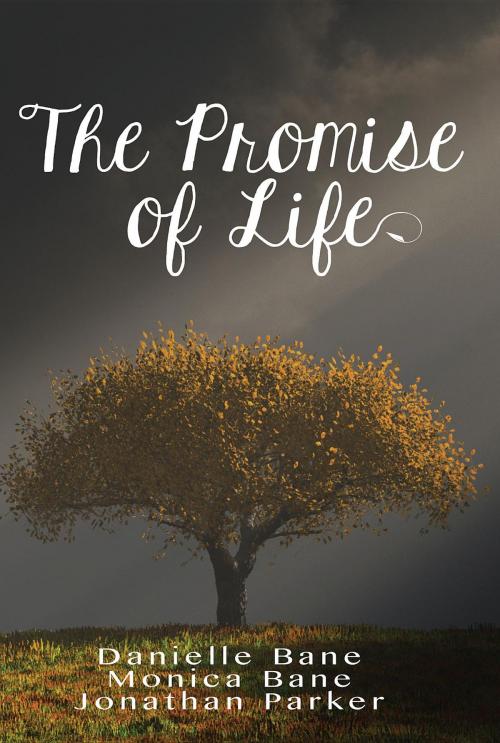 Cover of the book The Promise of Life by Danielle Bane, Monica Bane, Jonathan Parker, Christopher Matthews Publishing
