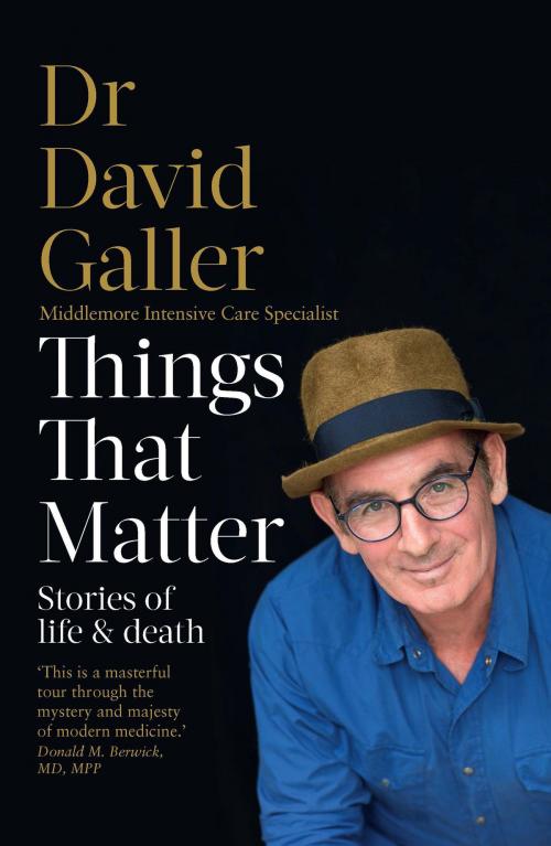 Cover of the book Things That Matter by David Galler, Allen & Unwin
