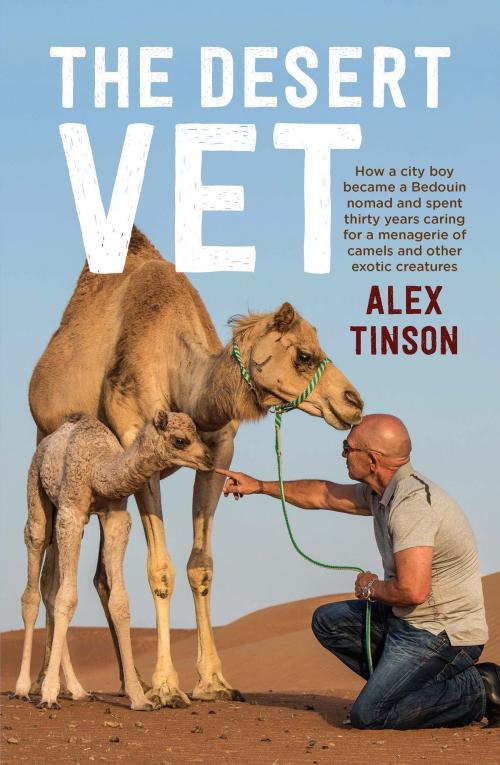 Cover of the book The Desert Vet by Alex Tinson, David Hardaker, Allen & Unwin