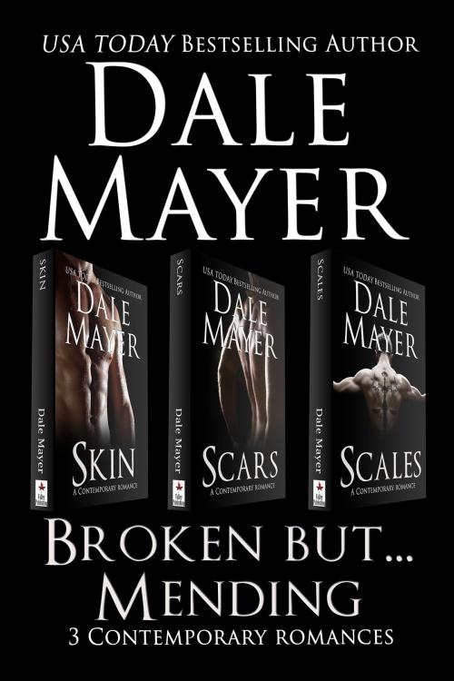 Cover of the book Broken but... Mending Set 1-3 by Dale Mayer, Valley Publishing Ltd.