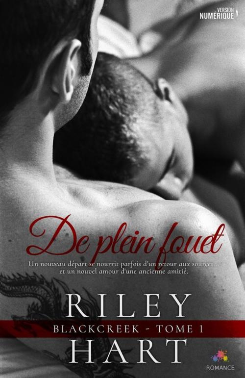 Cover of the book De plein fouet by Riley Hart, MxM Bookmark