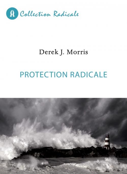Cover of the book Protection radicale by Derek J. Morris, Éditions Vie et Santé