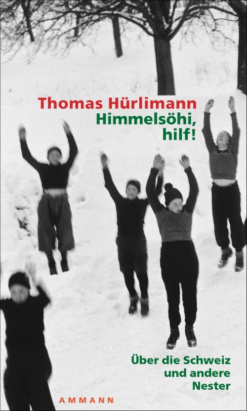 Cover of the book Himmelsöhi, hilf! by Thomas Hürlimann, FISCHER E-Books
