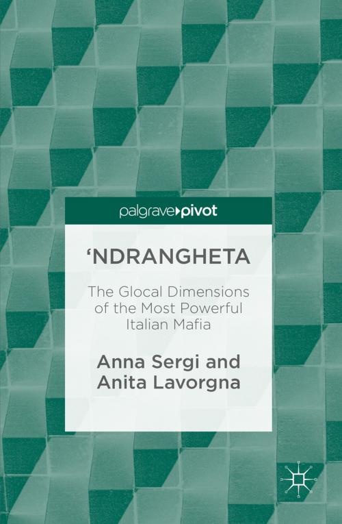 Cover of the book 'Ndrangheta by Anita Lavorgna, Anna Sergi, Springer International Publishing