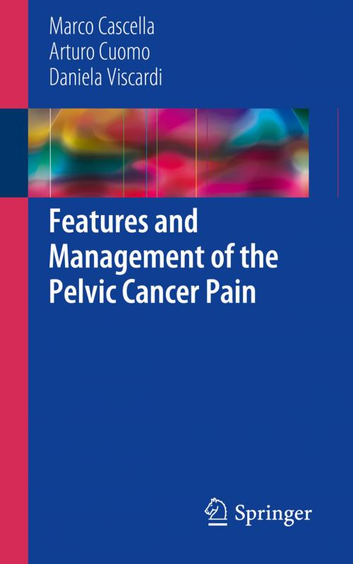 Cover of the book Features and Management of the Pelvic Cancer Pain by Marco Cascella, Arturo Cuomo, Daniela Viscardi, Springer International Publishing