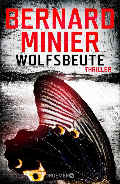 Cover of the book Wolfsbeute by Bernard Minier, Droemer eBook