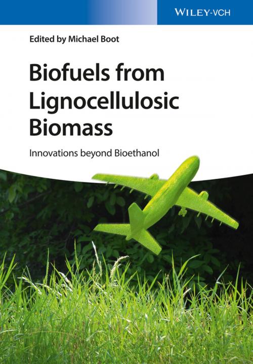 Cover of the book Biofuels from Lignocellulosic Biomass by Michael Boot, Wiley