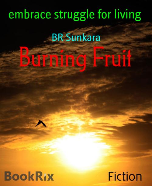 Cover of the book Burning Fruit by BR Sunkara, BookRix