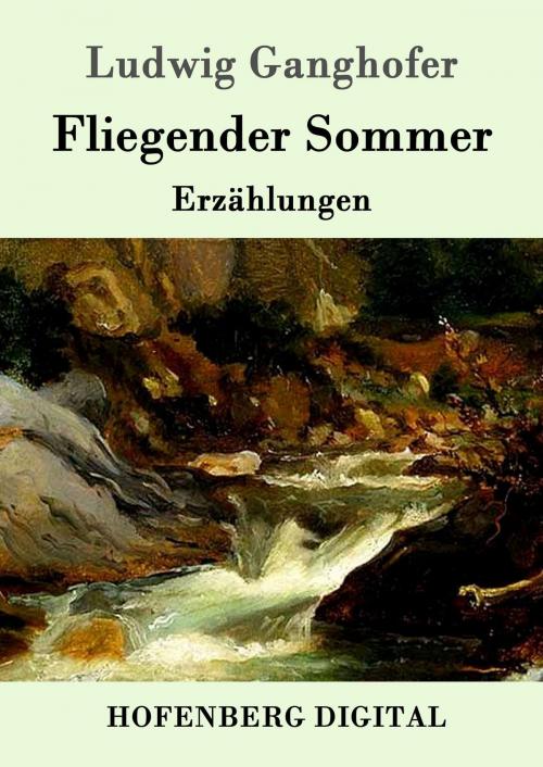Cover of the book Fliegender Sommer by Ludwig Ganghofer, Hofenberg