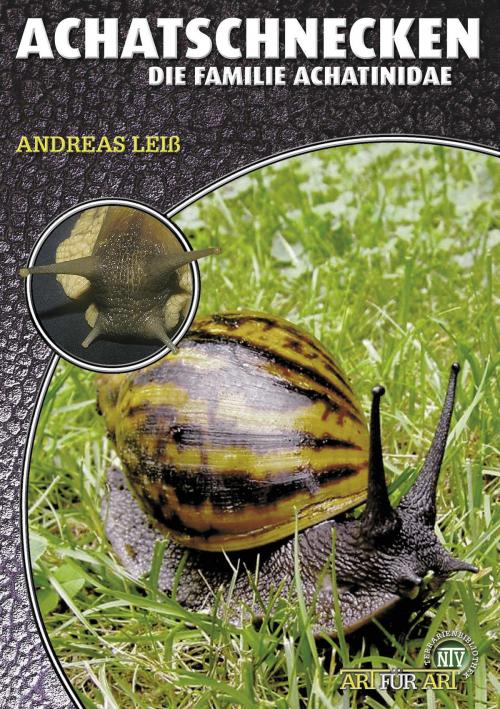 Cover of the book Achatschnecken by Andreas Leiß, Natur und Tier - Verlag