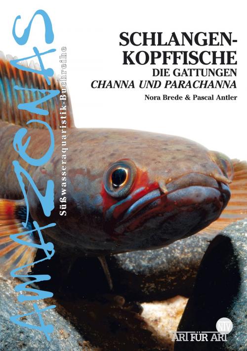 Cover of the book Schlangenkopffische by Nora Brede, Pascal Antler, Natur und Tier - Verlag
