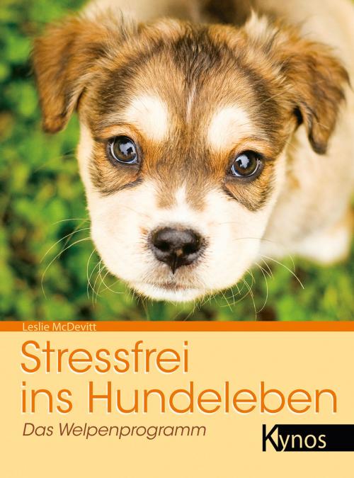 Cover of the book Stressfrei ins Hundeleben by Leslie McDevitt, Kynos Verlag