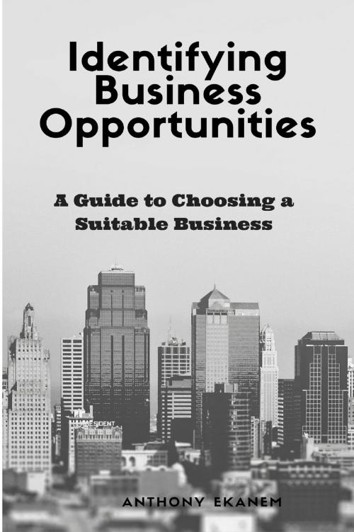 Cover of the book Identifying Business Opportunities by Anthony Ekanem, Anthony Ekanem