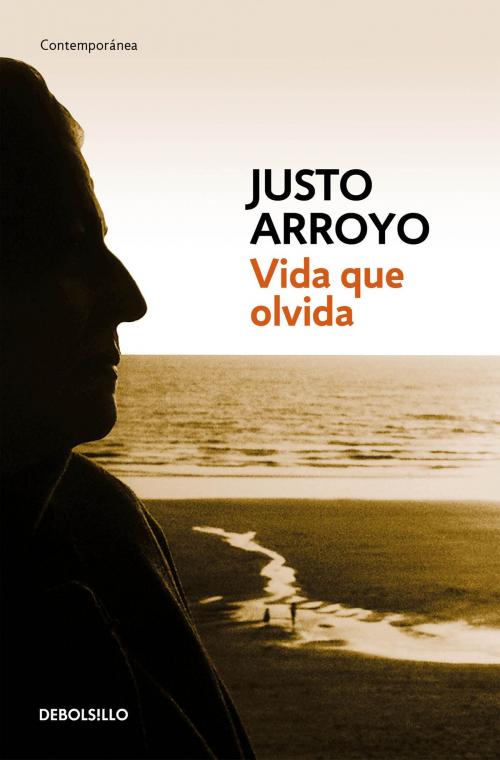 Cover of the book Vida que olvida by Justo Arroyo, Penguin Random House Grupo Editorial México