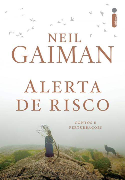 Cover of the book Alerta de risco by Neil Gaiman, Intrínseca