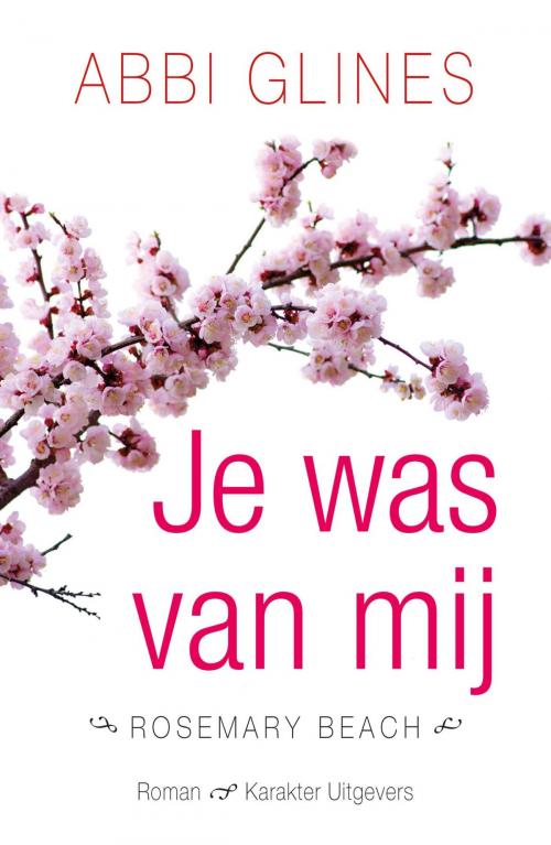 Cover of the book Je was van mij by Abbi Glines, Karakter Uitgevers BV