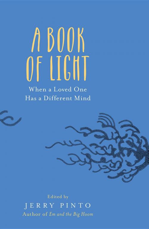 Cover of the book A Book of Light by , Speaking Tiger Publishing Pvt Ltd