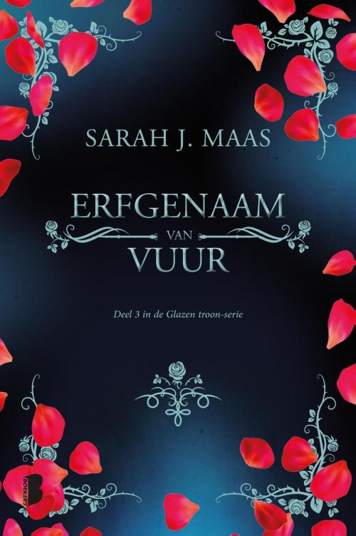 Cover of the book Erfgenaam van vuur by Sarah J. Maas, Meulenhoff Boekerij B.V.