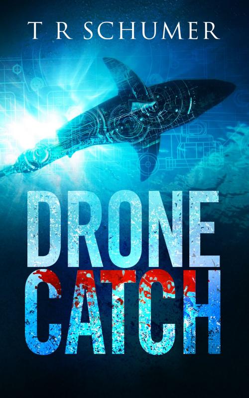 Cover of the book Drone Catch by T. R. Schumer, T. R. Schumer