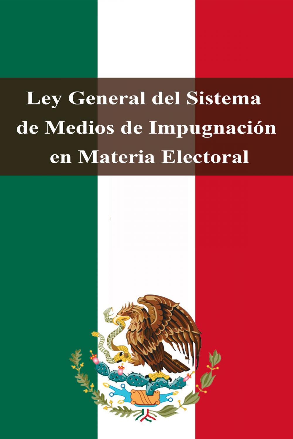 Big bigCover of Ley General del Sistema de Medios de Impugnación en Materia Electoral