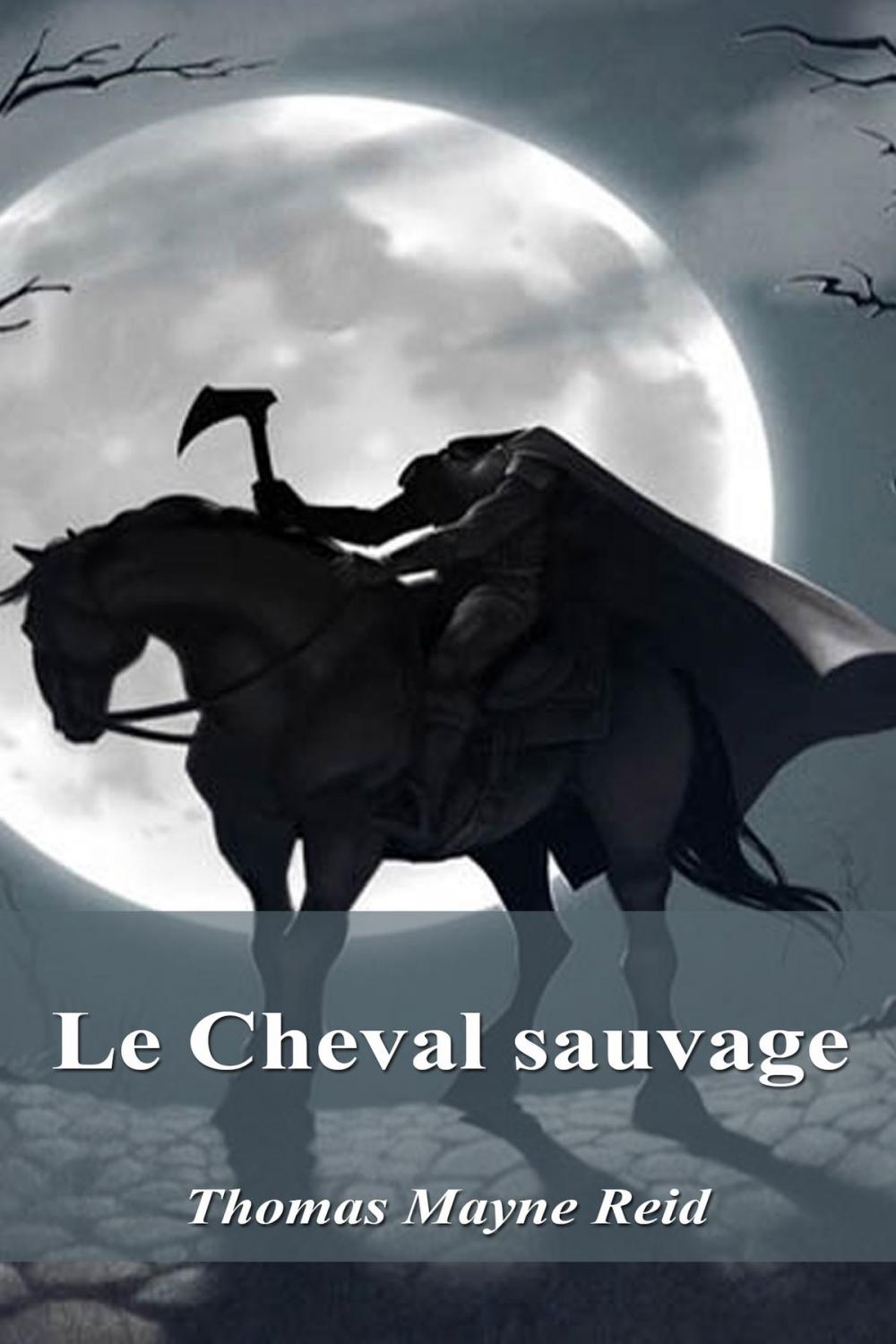 Big bigCover of Le Cheval sauvage