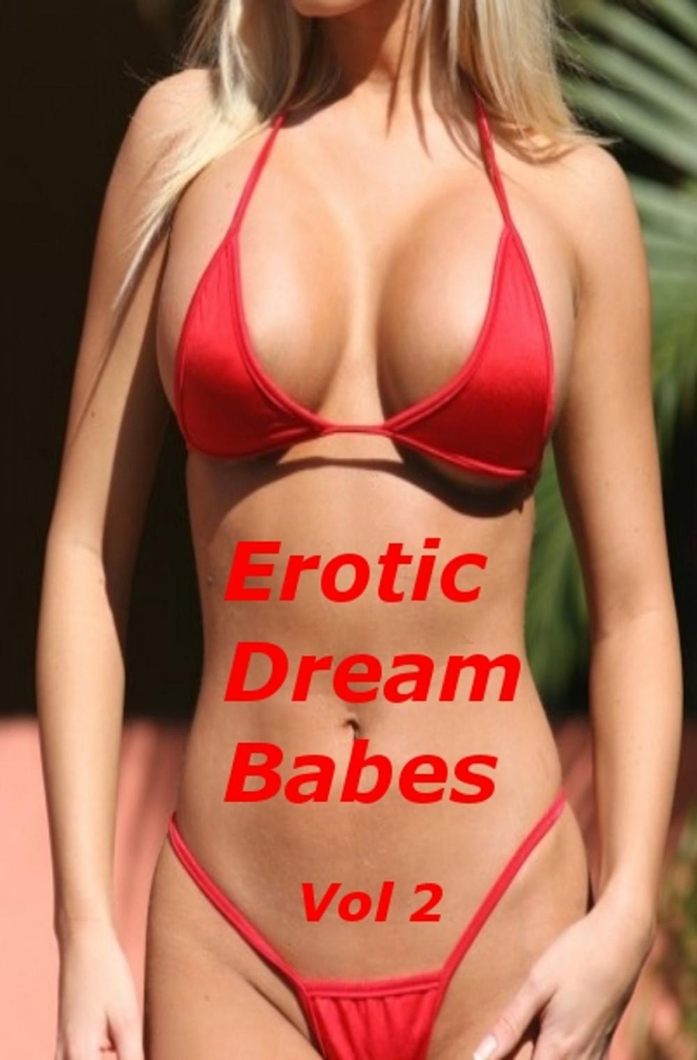 Big bigCover of Erotic Dream Babes - Volume 2