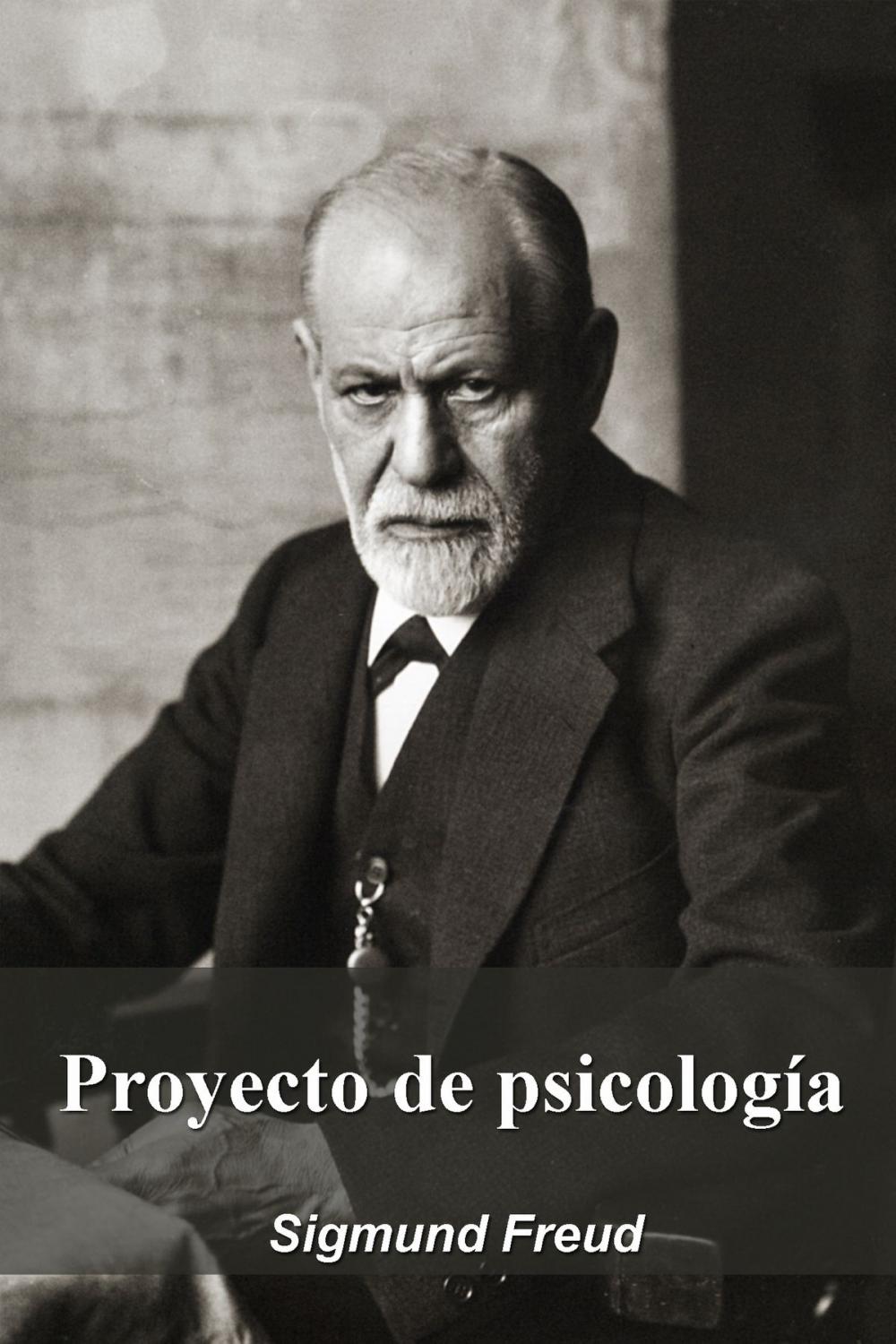 Big bigCover of Proyecto de psicología