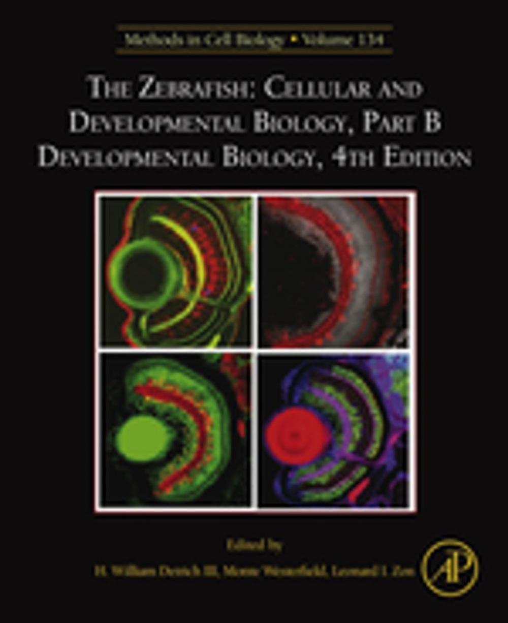 Big bigCover of The Zebrafish: Cellular and Developmental Biology, Part B Developmental Biology
