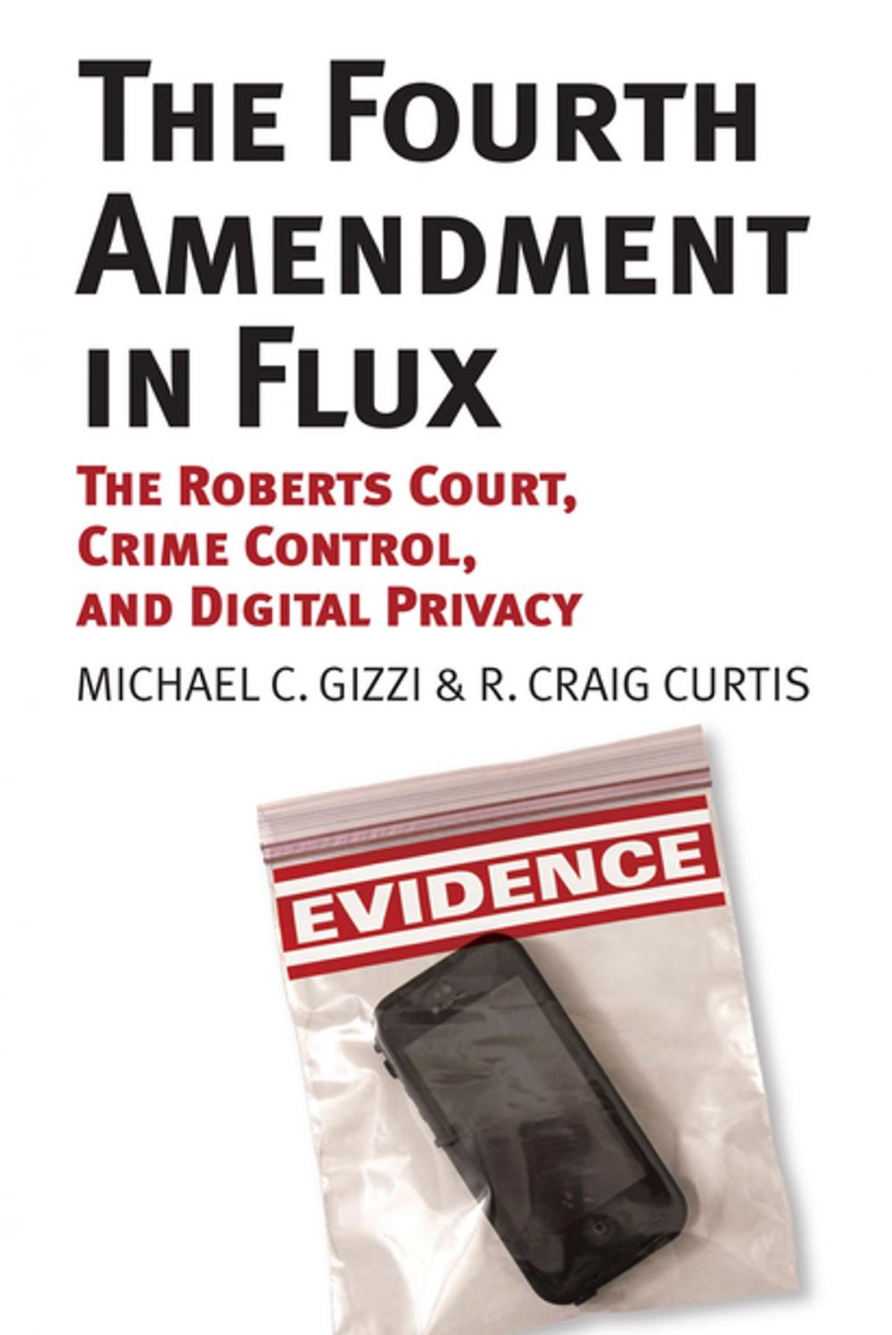 Big bigCover of The Fourth Amendment in Flux