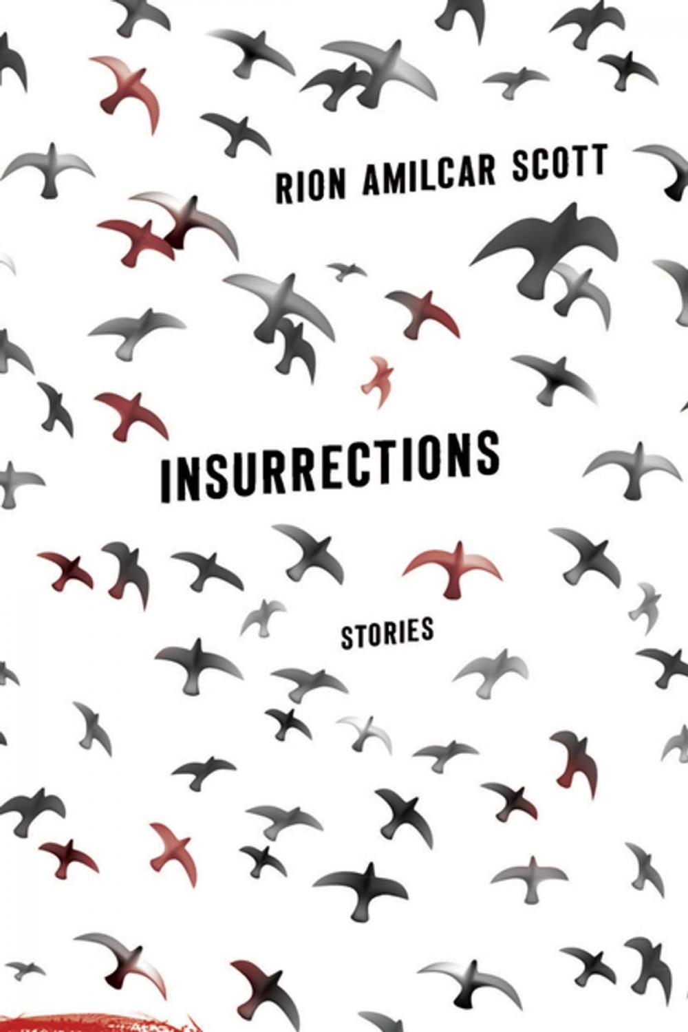 Big bigCover of Insurrections