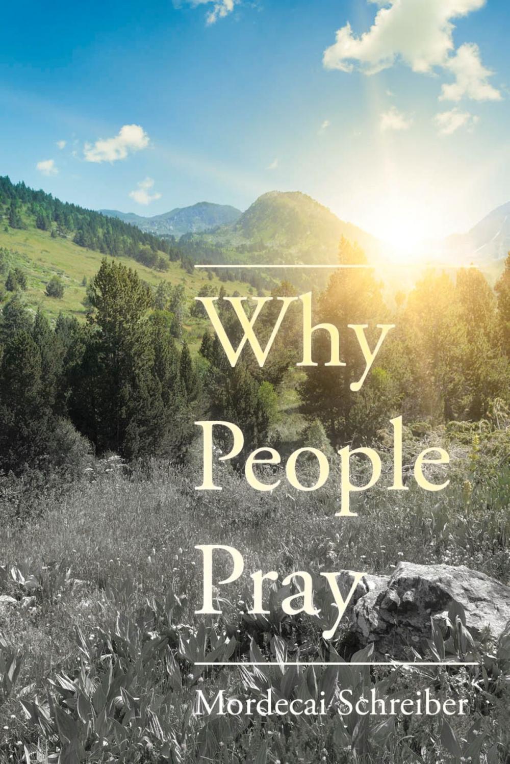 Big bigCover of Why People Pray