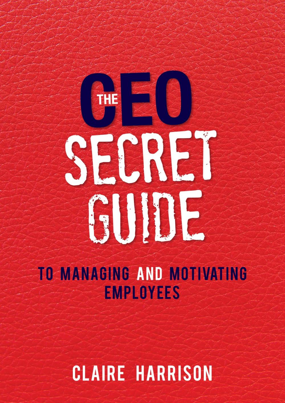 Big bigCover of The CEO Secret Guide to Managing and Motivating Employees