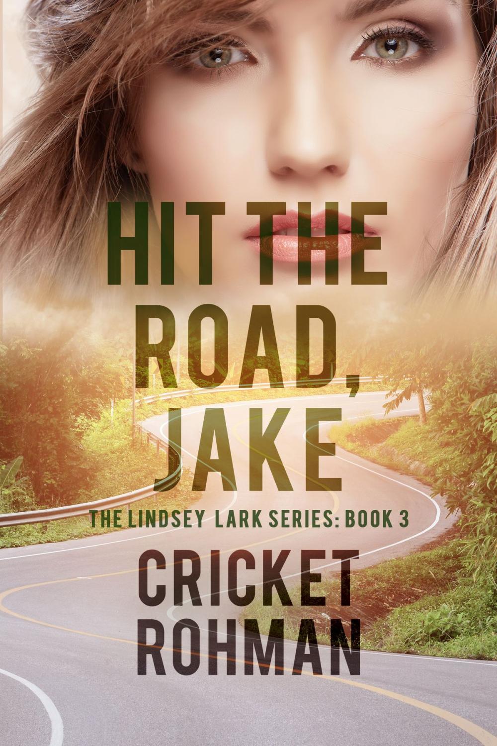 Big bigCover of Hit The Road, Jake!