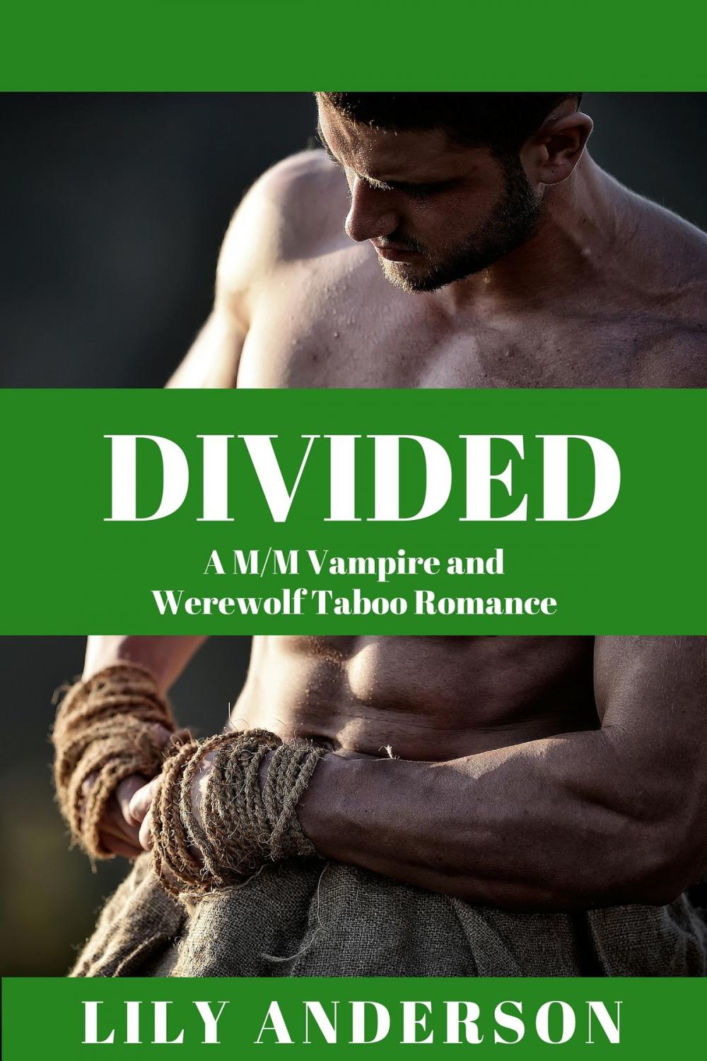 Big bigCover of DIVIDED: A M/M Vampire and Werewolf Taboo Romance