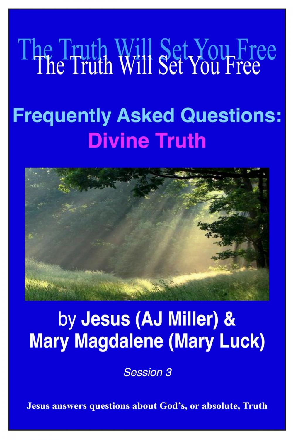 Big bigCover of Frequently Asked Questions: Divine Truth Session 3