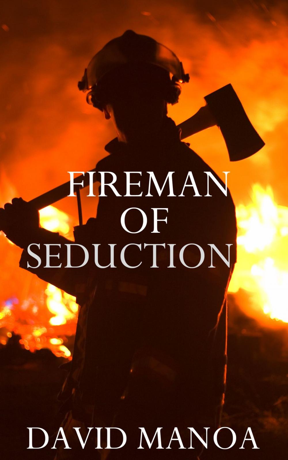 Big bigCover of Fireman of Seduction