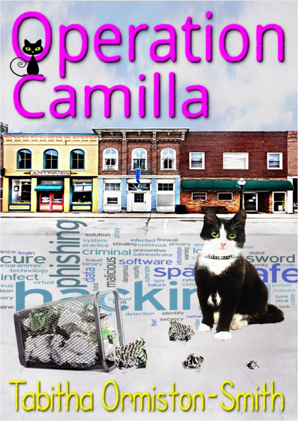 Big bigCover of Operation Camilla