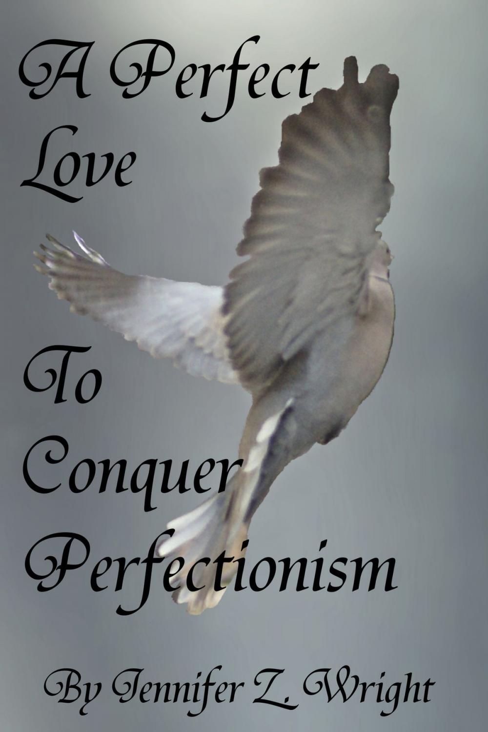 Big bigCover of A Perfect Love to Conquer Perfectionism