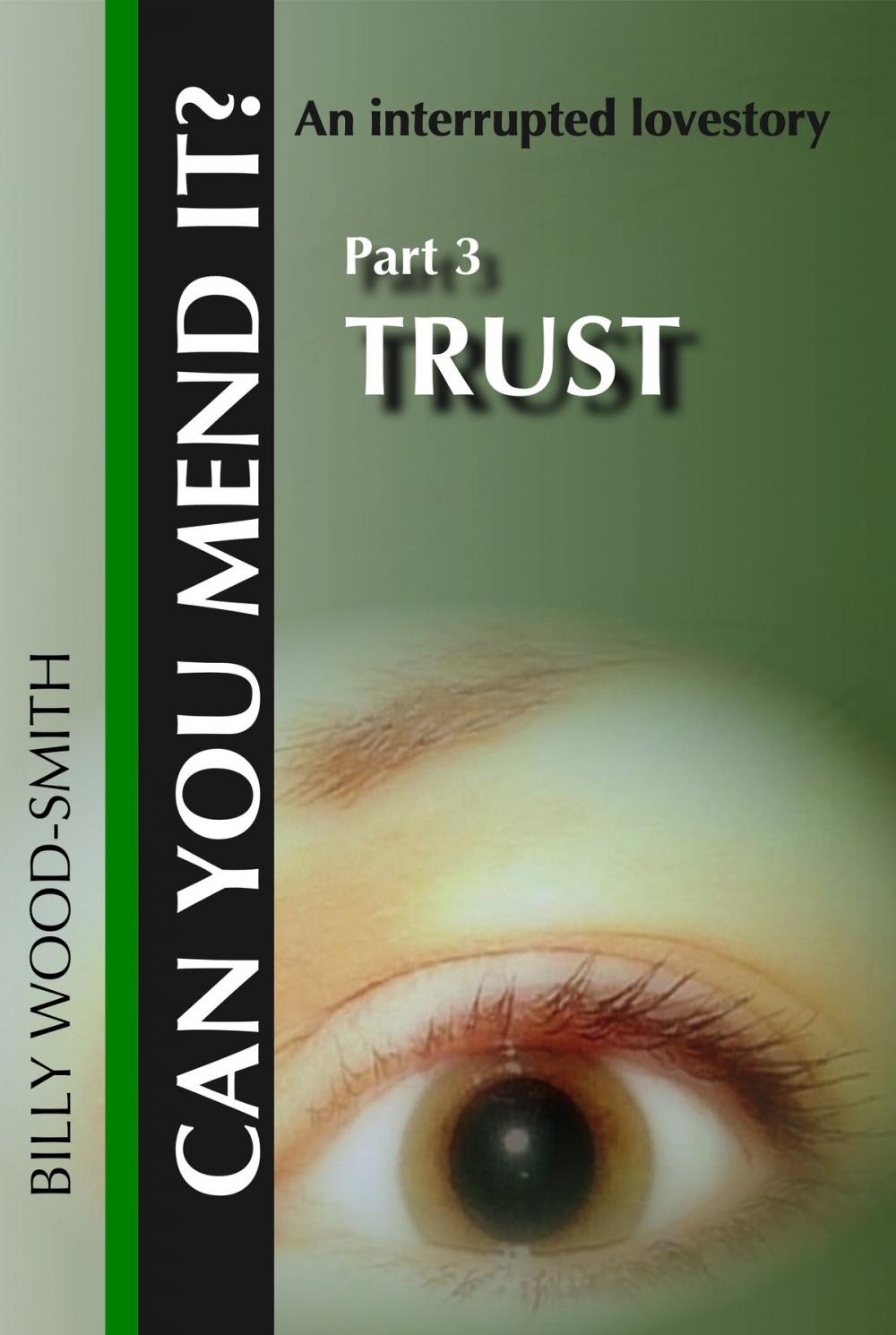 Big bigCover of Can You Mend It?: Part 3: Trust