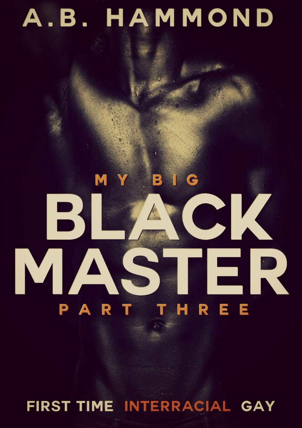 Big bigCover of My Big Black Master: Book Three