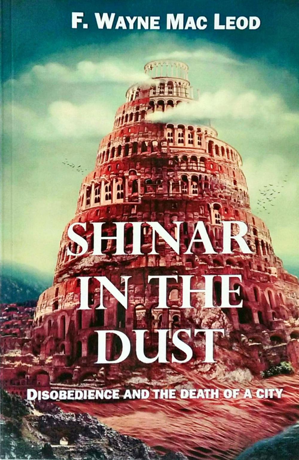 Big bigCover of Shinar in the Dust