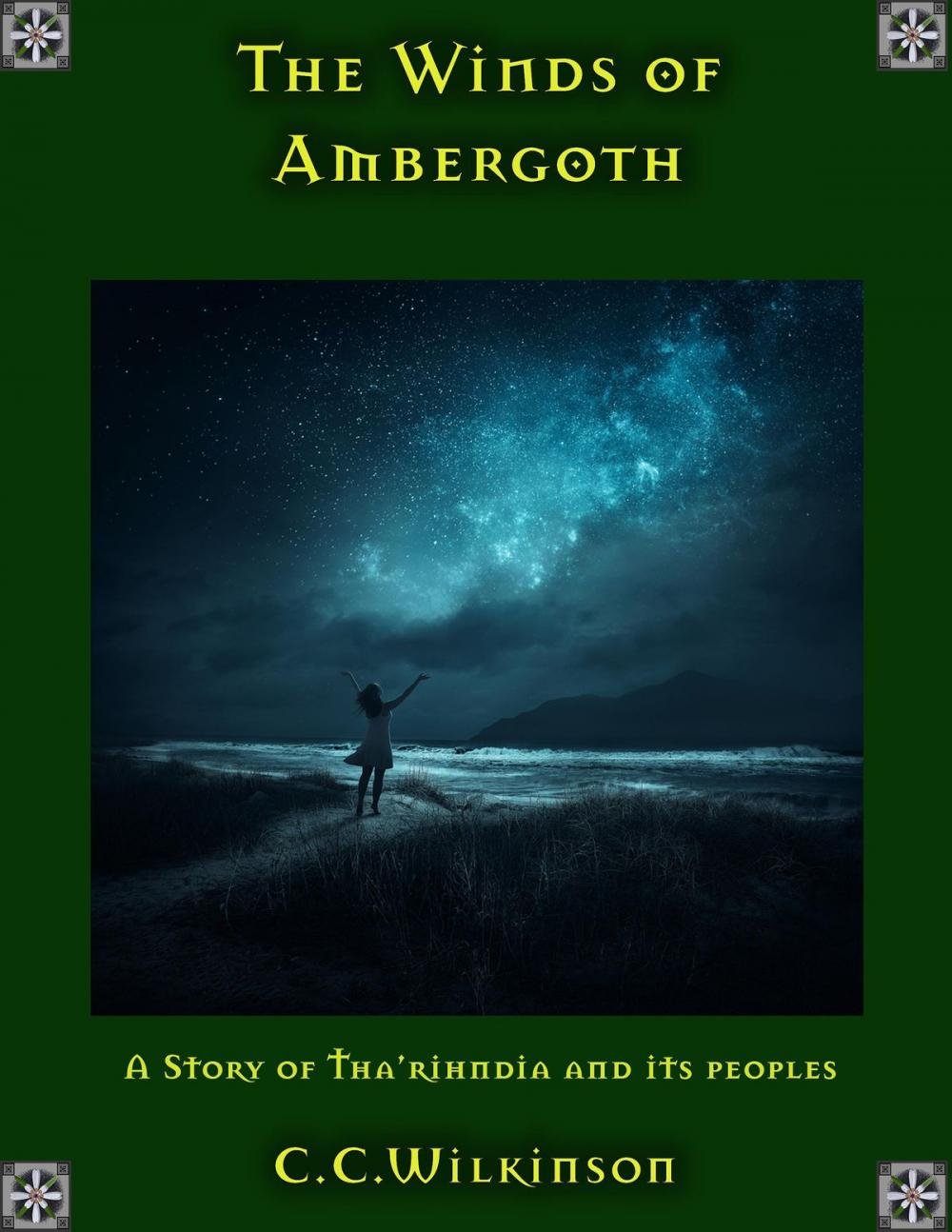 Big bigCover of The Winds of Ambergoth