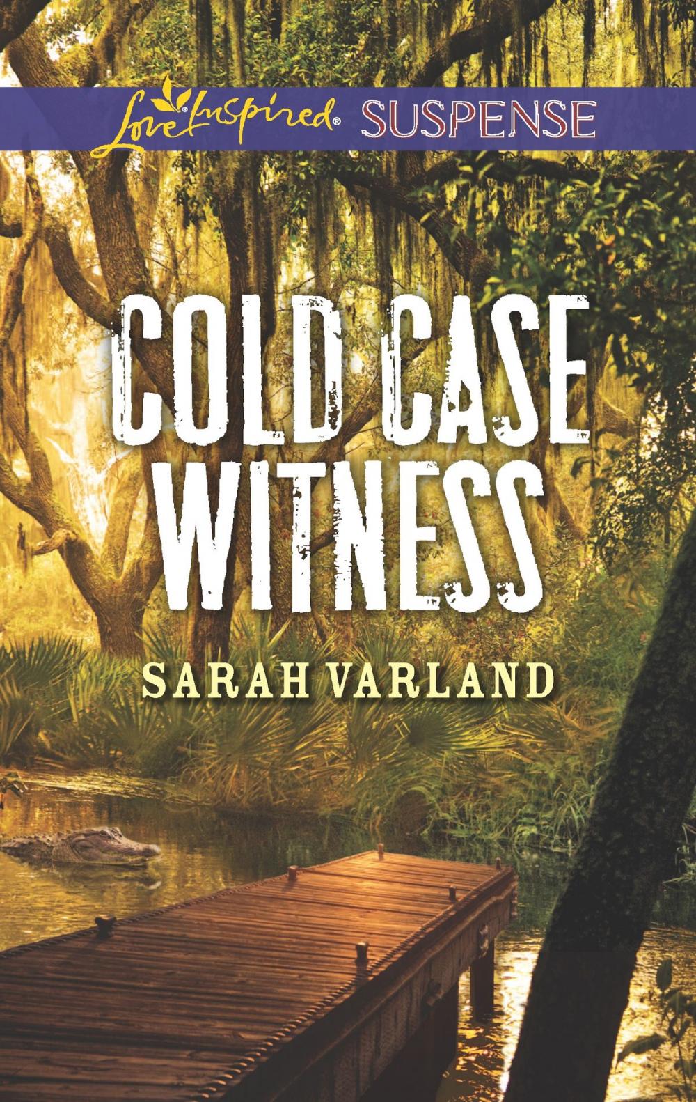 Big bigCover of Cold Case Witness