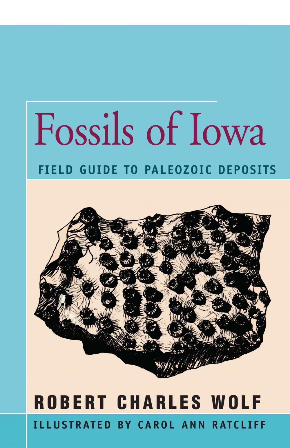 Big bigCover of Fossils of Iowa